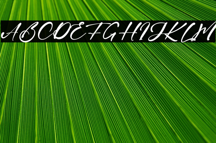 Sandra Rolley Example 2