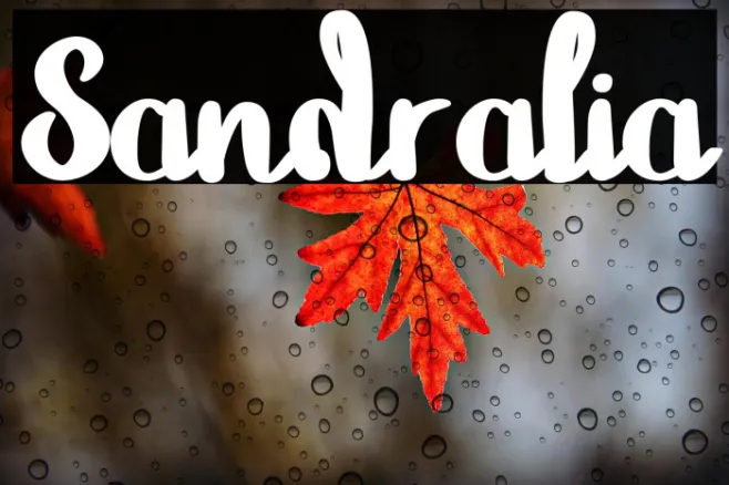 Sandralia Example 1
