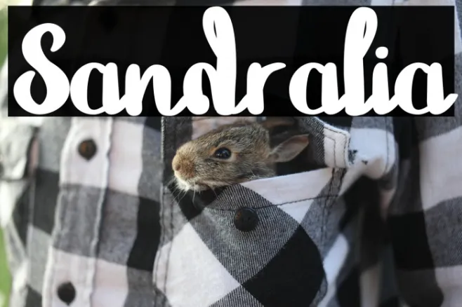 Sandralia Example 2
