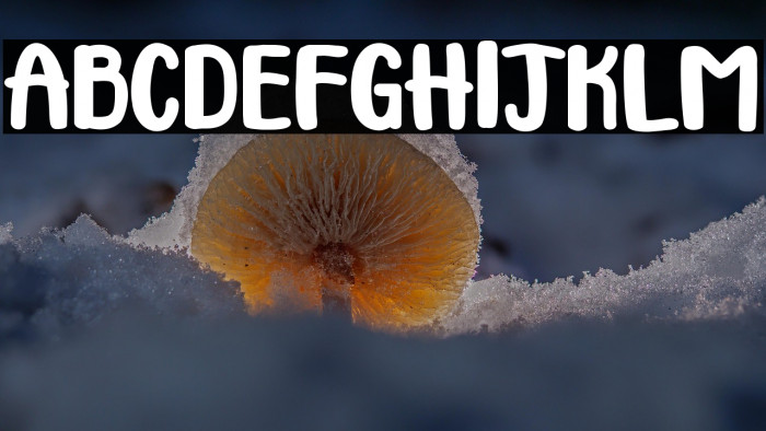 Sandraloka Example 3