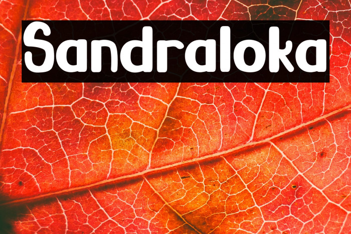 Sandraloka Example 1