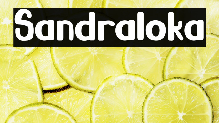 Sandraloka Example 2