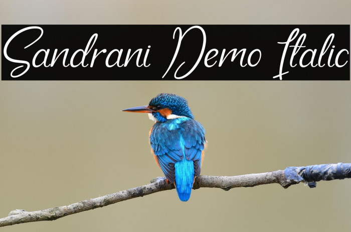 Sandrani Demo Italic Example 2