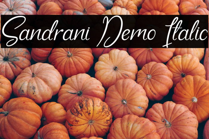 Sandrani Demo Italic Example 3