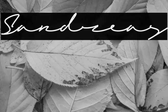 Sandreas Font examples