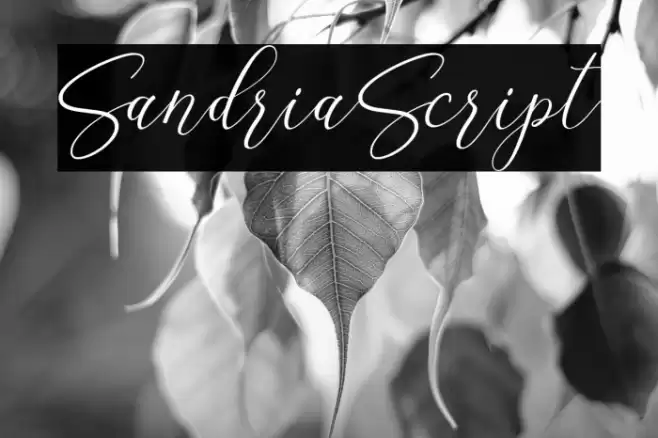 SandriaScript Font examples