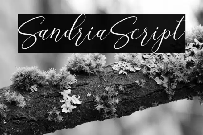 SandriaScript Font examples