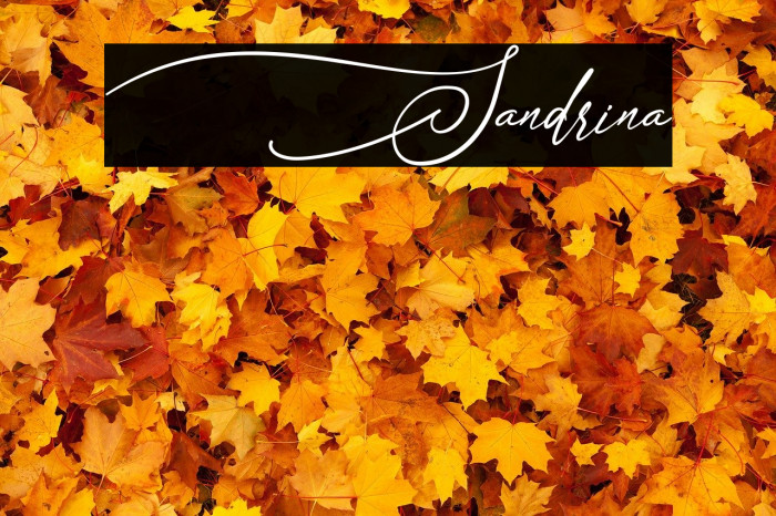 Sandrina Font examples