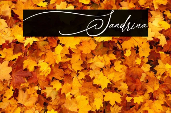 Sandrina Example 1