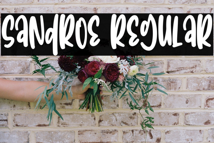 Sandroe Regular Example 1