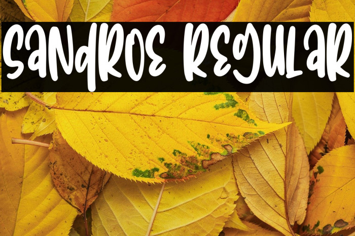 Sandroe Regular Example 3