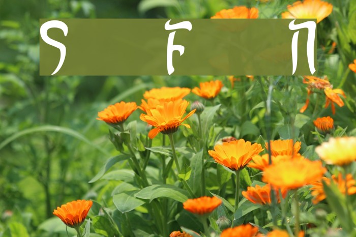 Sands of Fire Normal Font examples