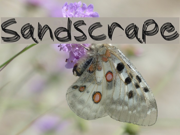 Sandscrape Font examples