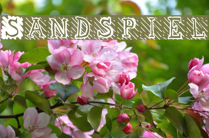Sandspiel Font examples