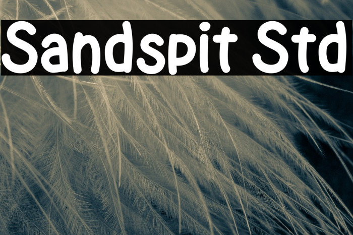 Sandspit Std Font examples