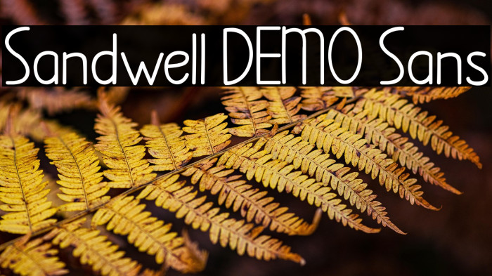 Sandwell DEMO Sans Example 1
