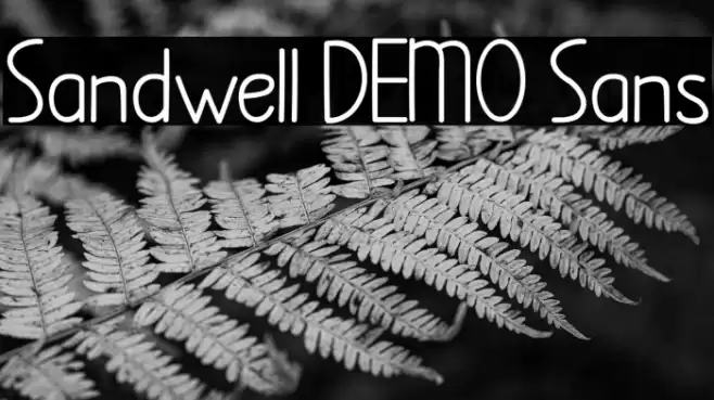Sandwell DEMO Sans Font examples