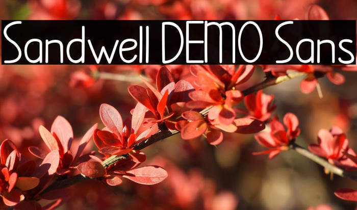 Sandwell DEMO Sans Example 2