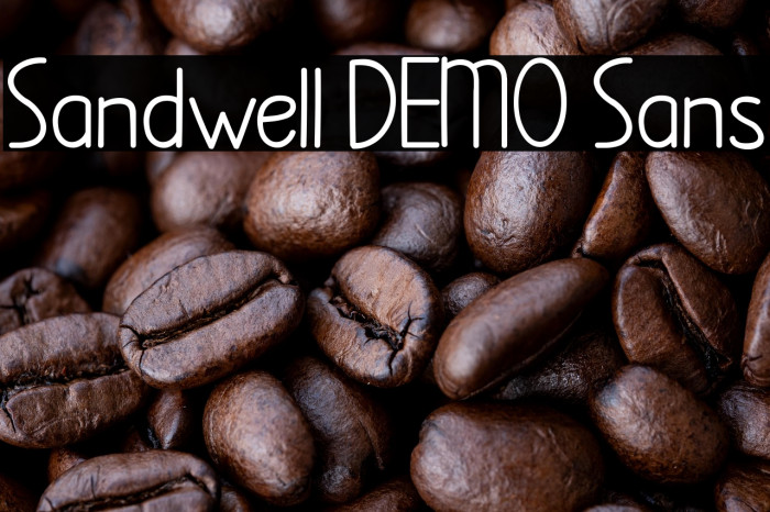 Sandwell DEMO Sans Example 3