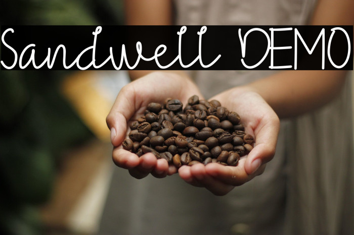 Sandwell DEMO Example 2
