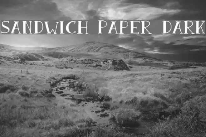 Sandwich Paper Dark Font examples