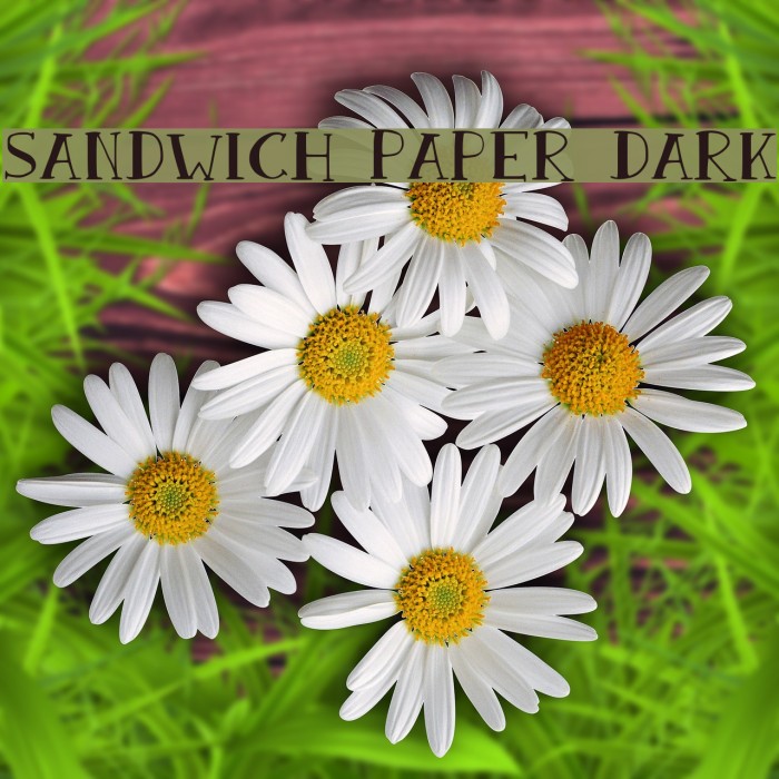 Sandwich Paper Dark Example 2