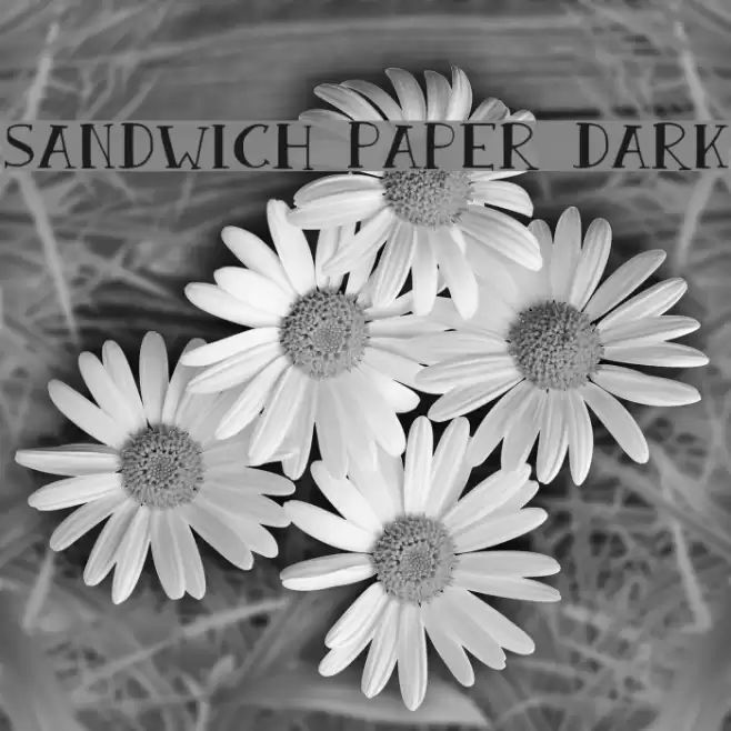 Sandwich Paper Dark Font examples