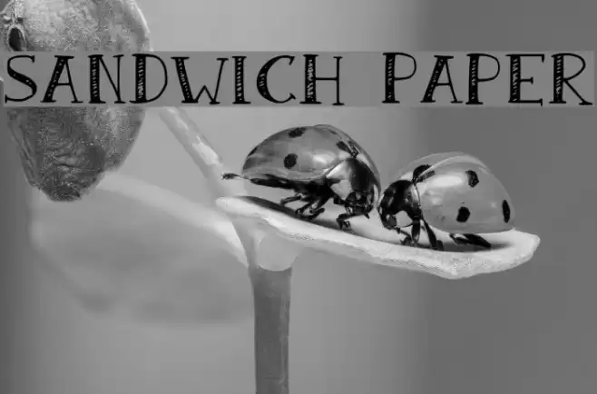 Sandwich Paper Font examples