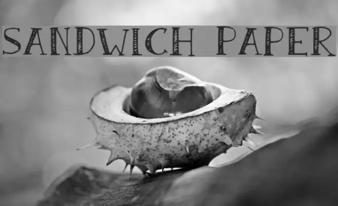 Sandwich Paper Font examples