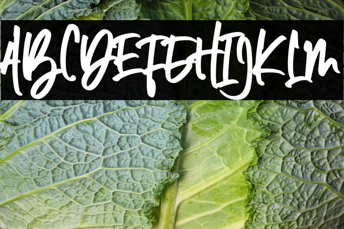 Sandy Antoniuss Example 3