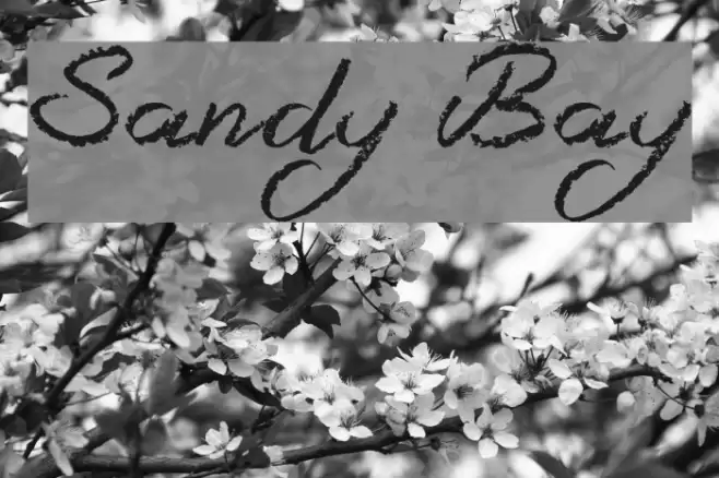 Sandy Bay Font examples