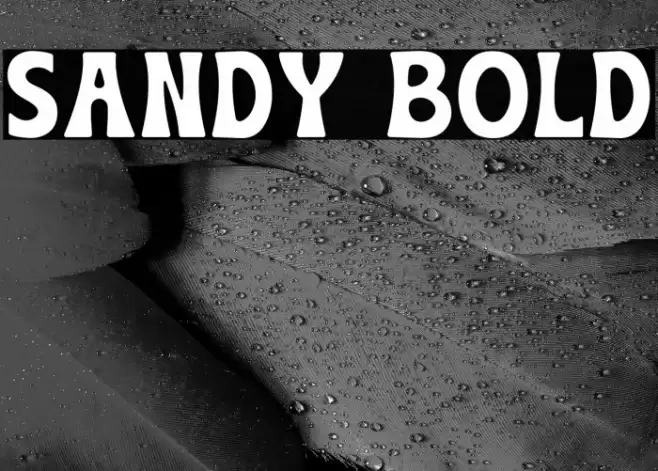 Sandy Bold Font examples