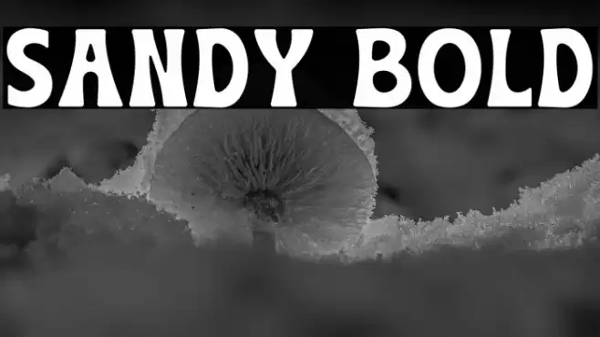 Sandy Bold Font examples