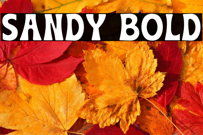 Sandy Bold Example 3