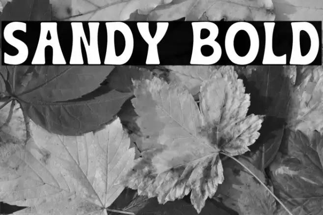 Sandy Bold Font examples