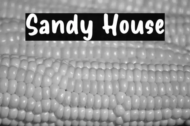 Sandy House Font examples