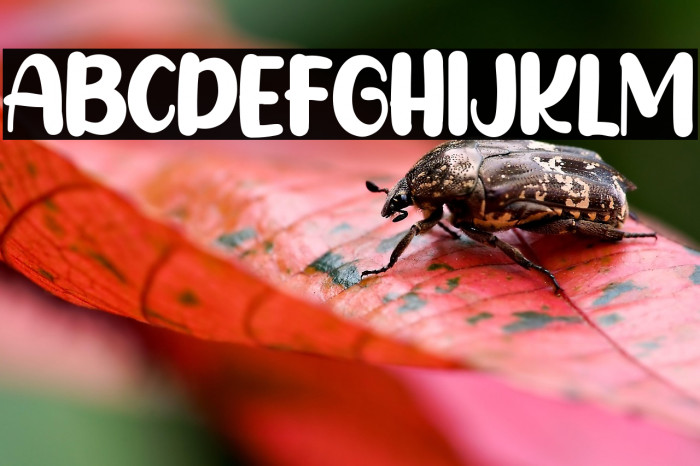 Sandy Kids Example 1