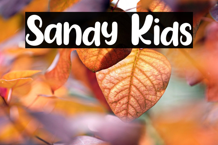 Sandy Kids Example 3