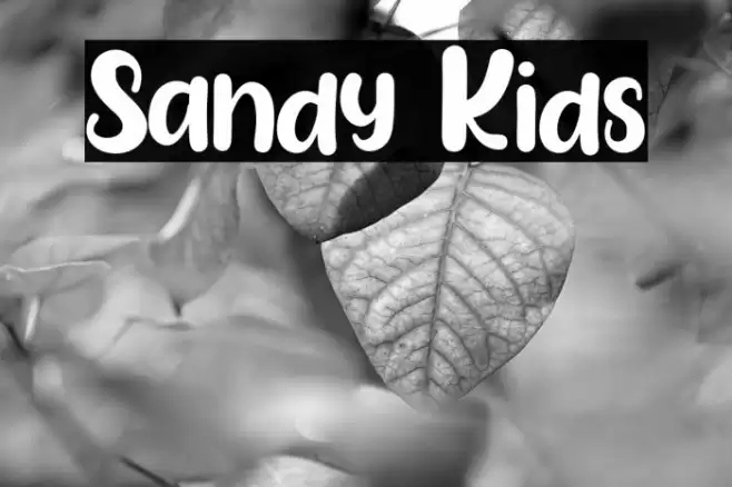 Sandy Kids Font examples