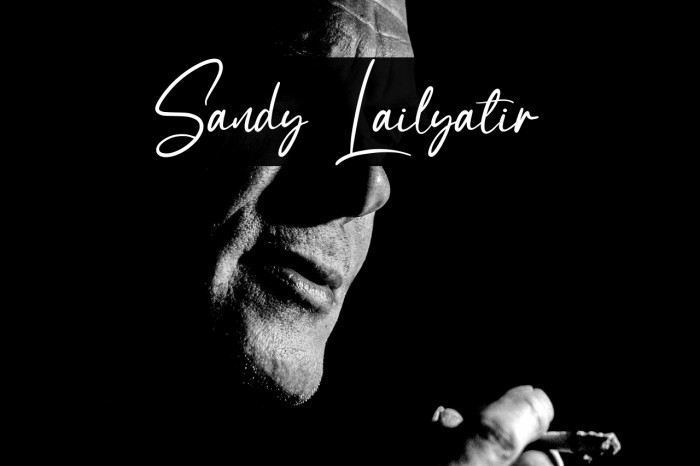 Sandy Lailyatir Example 2