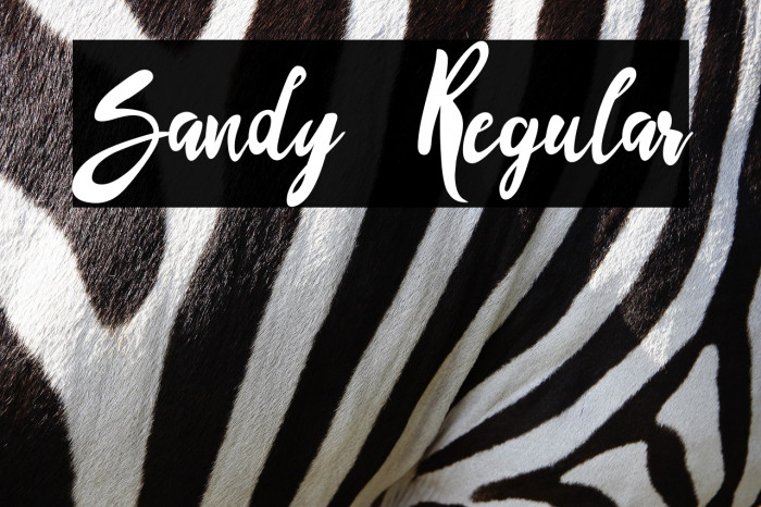 Sandy Regular Example 2