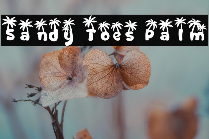 Sandy Toes Palm Example 3