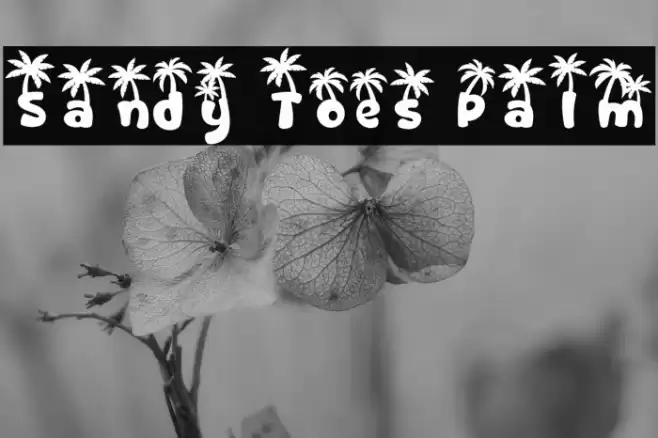 Sandy Toes Palm Caratteri examples
