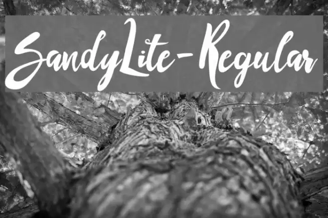 SandyLite-Regular Font examples