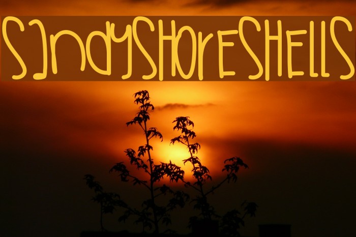 SandyShoreShells Font examples