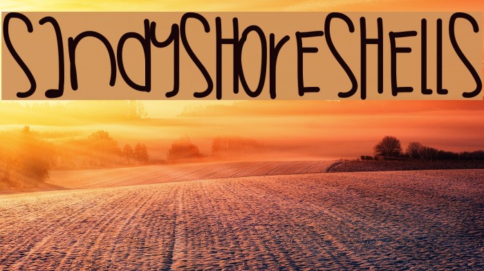 SandyShoreShells Font examples