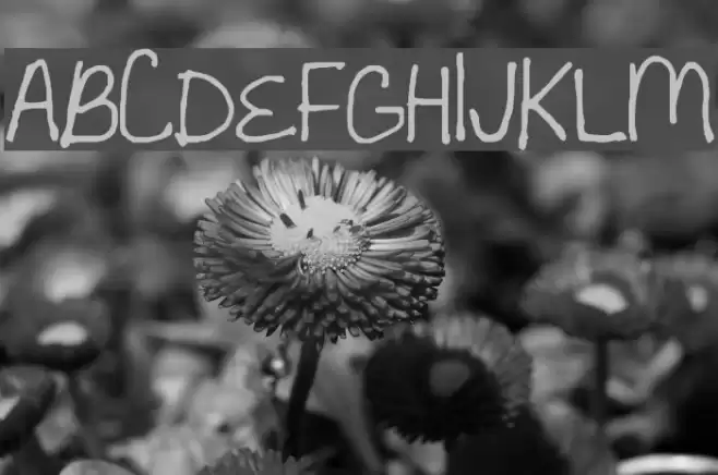 Sandyshand Font examples