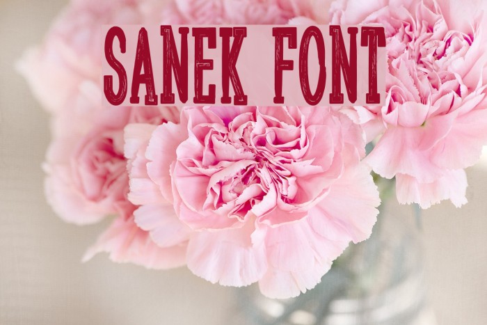 Sanek Font examples