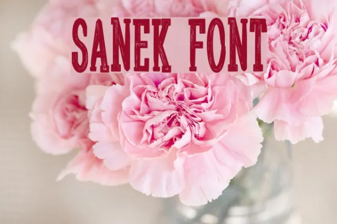 Sanek Example 1