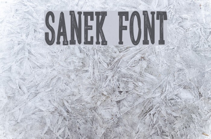 Sanek Font examples